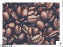 Sites similar to yabucoffee.com