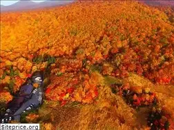 Sites similar to yachionsen.com