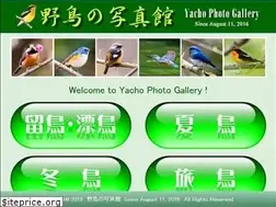 Sites similar to yacho-photo.com