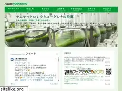 Sites similar to yaeyamachlorella.com