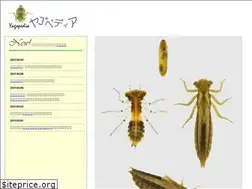 Sites similar to yagopedia.com