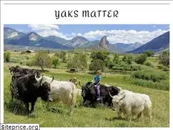 Sites similar to yaksmatter.com