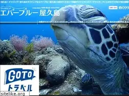 Sites similar to yakushima-diving.com