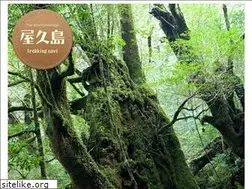 Sites similar to yakushima-info.com