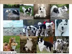 Sites similar to yakutianlaikaclubofamerica.org