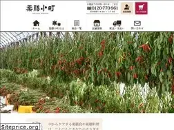 Sites similar to yakuzen-komachi.jp