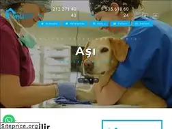 Sites similar to yalivetveteriner.com