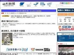 Sites similar to yamagata-np.jp