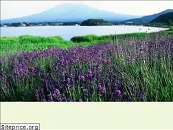 Sites similar to yamanashi-syukuhakuwari.com