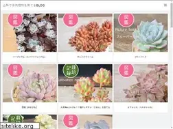 Sites similar to yamanashi-taniku.com