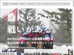 Sites similar to yamanashi-yukigassen.com