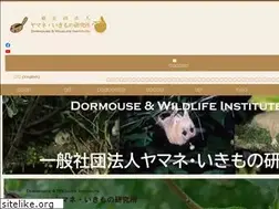 Sites similar to yamane-ikimono.org
