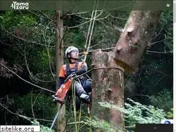 Sites similar to yamazaru.co.jp