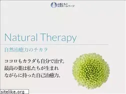 Sites similar to yamazoetomoko.com