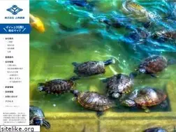 Sites similar to yamazumi.co.jp