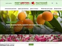 Sites similar to yan-dir.ru