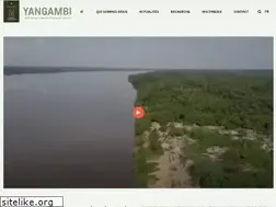Sites similar to yangambi.org