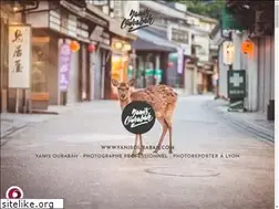 Sites similar to yanisourabah.com