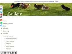Sites similar to yankee-shelties.com