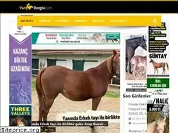 Sites similar to yarisdergisi.com