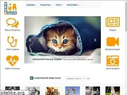 Sites similar to yarus-spb.ru