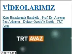 Sites similar to yasarozgok.com