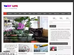 Sites similar to yasev.com