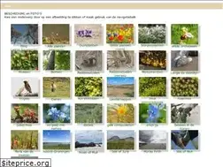 Sites similar to yavannah.nl