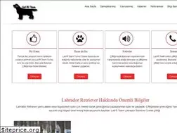 Sites similar to yavrulabrador.com