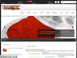 Sites similar to yazikentgida.com