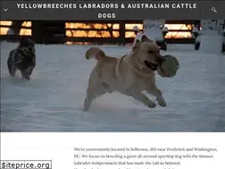 Sites similar to ybrfarm.com