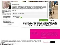 Sites similar to yc.news