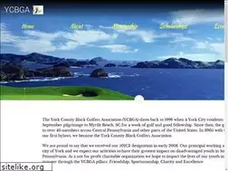 Sites similar to ycbga.org