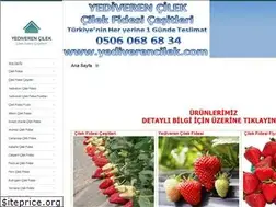 Sites similar to yediverencilek.com