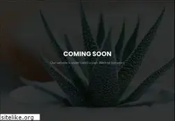 Sites similar to yeeti.com