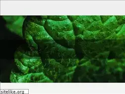Sites similar to yeganeozcan.com