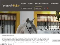 Sites similar to yeguadabejar.com