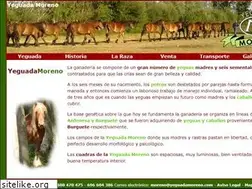 Sites similar to yeguadamoreno.com