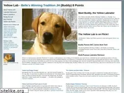 Sites similar to yellow-lab.org