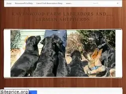 Sites similar to yellowlabradorpuppiesva.com