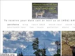 Sites similar to yellowstone-tours.com