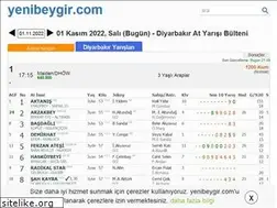 Sites similar to yenibeygir.com