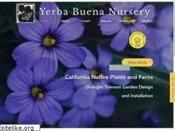 Sites similar to yerbabuenanursery.com