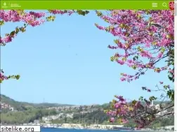 Sites similar to yesil.istanbul