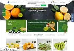 Sites similar to yesillimon.com