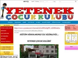 Sites similar to yetenekegitim.com