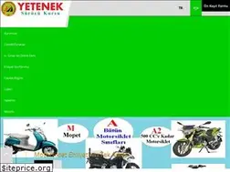 Sites similar to yeteneksurucukursu.com