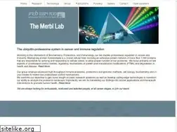 Sites similar to yifatmerbl.com