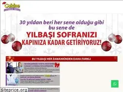 Sites similar to yilbasihindiniz.com