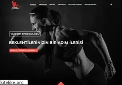 Sites similar to yildirimspor.com